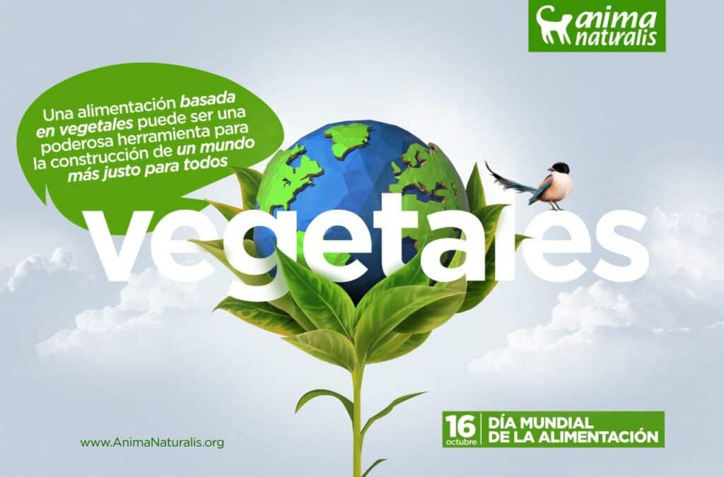 Para pedir al Papa Francisco: campaña mundial por una dieta vegana
