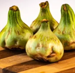 Imagen representativa de ProVeg España fomentando un estilo de vida vegetariano en España