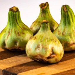 Imagen representativa de ProVeg España fomentando un estilo de vida vegetariano en España